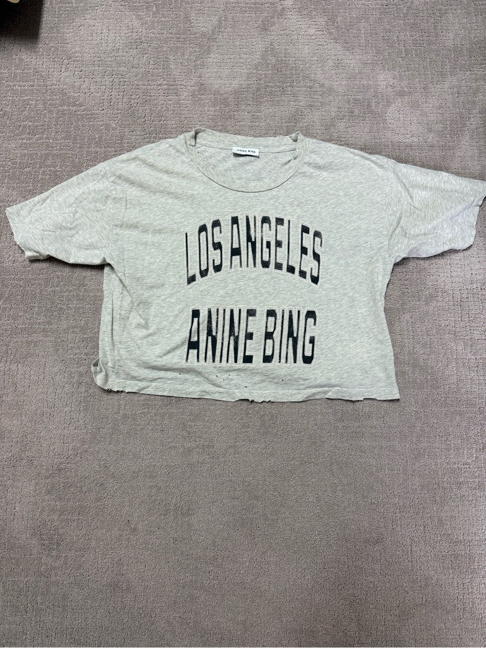 Anine Bing Light Gray 'Los Angeles' Graphic Crop Tee